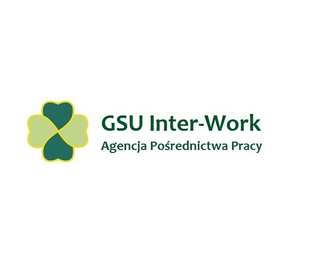 GSU Inter Work