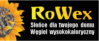 praca Dyrektor Handlowy